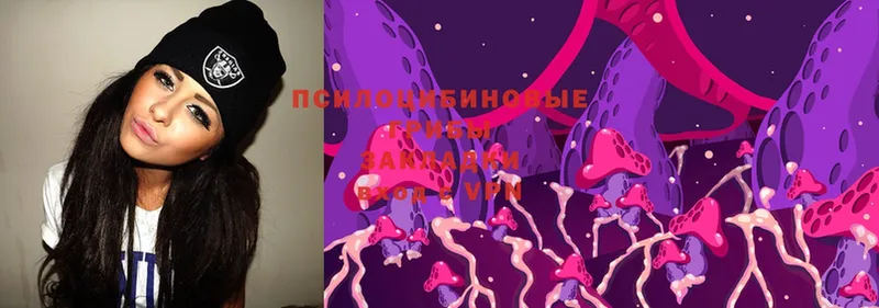 Галлюциногенные грибы Magic Shrooms  магазин    Касимов 